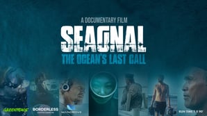 SEAGNAL_A