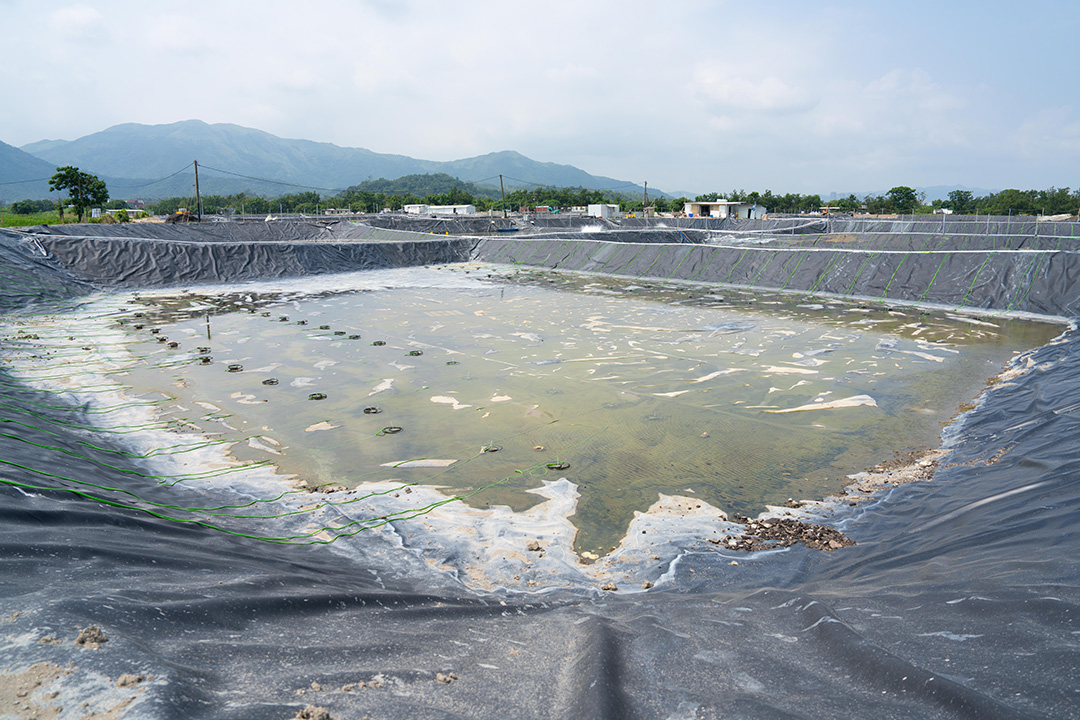 圖片6涉事三寶樹魚塘濕地,由原本的8個魚塘被挖掘並改建成39個塑膠水池,並以大型隔水黑膠布覆蓋原來的土質基底,致喪失濕地多元生態功能。(綠色和平提供)