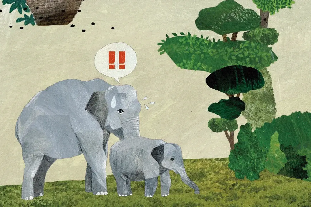 animal_ebook_3 animal_ebook_3