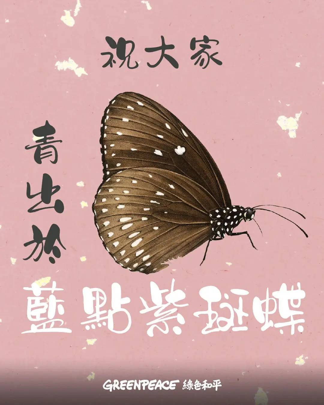 20260209_Bio_SNS_Ver2_P6