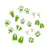 BiodiversityIcon