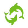 Dolphin 3
