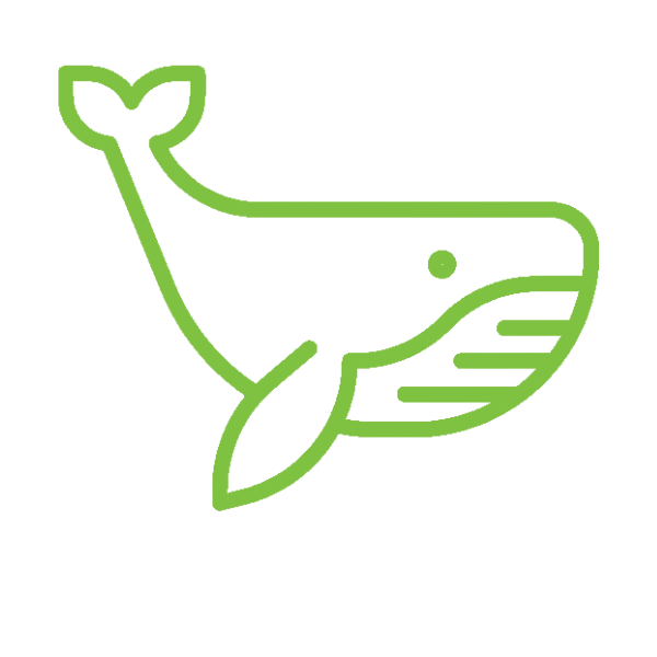 whale (1)